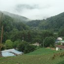 법흥1리 이미지