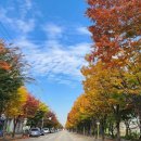 늠내길5코스 정왕둘레길 이미지