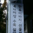 월영동222 이미지