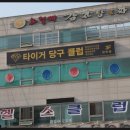 타이거 당구장 이미지