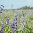 새마음정신건강의학과의원 이미지