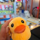 하이원당구장 이미지