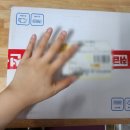 친환경 유럽피언 쌈채소 1kg 둥구머리협동조합 건강한 먹거리