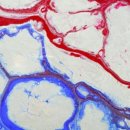 일산조은내과의원 이미지