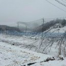 김명수 농장 이미지