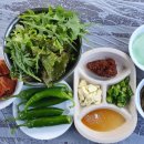 솔바람 힐링하우스 이미지