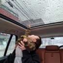 밀림 여의도 이미지