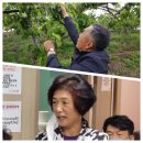 이미화 농장 이미지