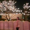 그랜드하얏트서울 아이스<b>링크</b>로 스케이트 <b>타고</b>왔어요 / 주차 입장권 팁