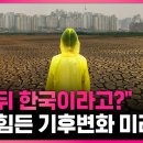 "8년 뒤 한국 실화냐"…믿기 힘든 한국의 기후변화 시나리오 / SBS / #딥빽 이미지