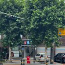 마포구청역 3번 출구 앞 이미지