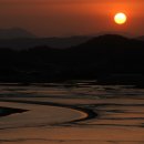 순천만 갈대밭 이미지