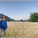 동호솔숲 이미지