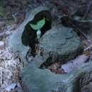 화지 셀프세차장 이미지