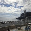 파아란지붕 | 하루에 울릉도 한 바퀴 - ② 울릉도 서쪽 여행 코스 (태하향목모노레일 / 울릉커피밴 위치 / 학포항...