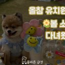 올바른 참견 이미지