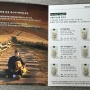 바오도그 이미지