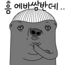 루미로사 이미지