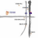 남천둑길 네이버블로그