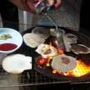 갯벌민박 이미지