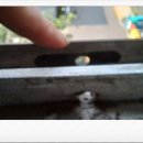 청구블루빌 이미지