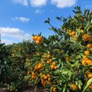 월림경로당 이미지