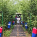 데이지밀