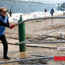 월호농장 이미지