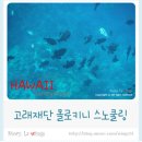 몰로키니 스노쿨링, 고래재단(Pacific whale foundation)