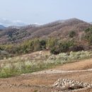 차경농장 이미지