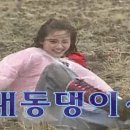 시골아낙 - 부여군 | 시골아낙