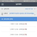 샌드아트버블쇼 네이버블로그