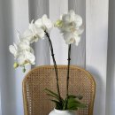 광주서광중학교 이미지