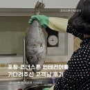 인테리어 사기 경험 후 포항 코너스톤 인테리어를 기다려주신 고객님 후기