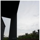 서담미가 이미지