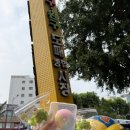 모닝글로리창신점 | 거리 평일 오후에 사람이 얼마나 많을까?? (30대 임산부도 말랑이 가지고 놀고 싶어!) 첫 말랑이 구매 후기