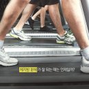 다이어트 - 체지방 분해가 잘 되는 때는 언제일까? 이미지