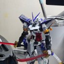 6659 | 다반 6659, 일명 선족트레이 후기