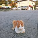 엄마는도슨트 | 가을 사색의 숲 대구 군위 사유원｜엄마와 함께한 도슨트 기차여행 하루