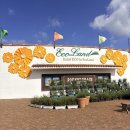 호텔 라벤더 제주 | 제주 에코랜드 테마파크 후기｜아기랑 기차 타고 자연 속 힐링 여행