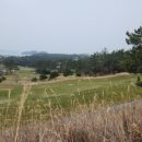 오시아노골프클럽 이미지