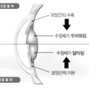 룩옵티컬 건대점 이미지