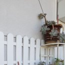 나로드림 이미지