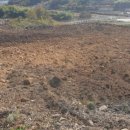 양지저수지 이미지