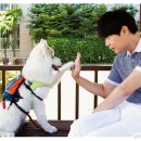 #DOG 이미지