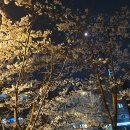 퇴근길 - 안동시 경북대로 427 | 퇴근길