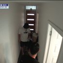 영 앤 카우 이미지