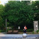 까치공원 맞은편 이미지