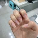 네일디테일리스트