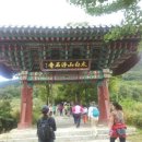 브이레인 이미지